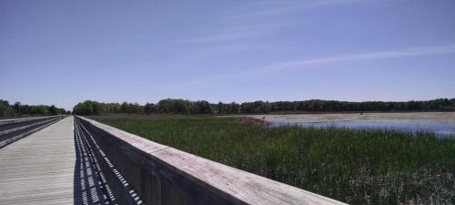 boardwalk_june_2017-500x225
